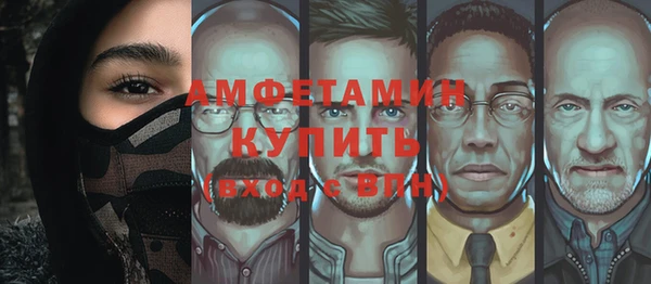 шишки Арсеньев