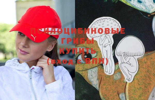 гидропоника Армянск