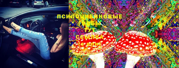 гидропоника Армянск