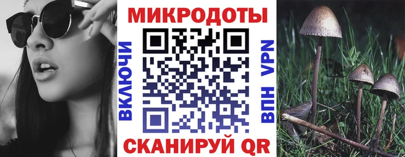 Псилоцибиновые грибы прущие грибы продажа наркотиков Вязьма